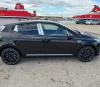 CLIO ALPINE NOIR 